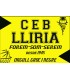 BANDERA CEB LLIRIA