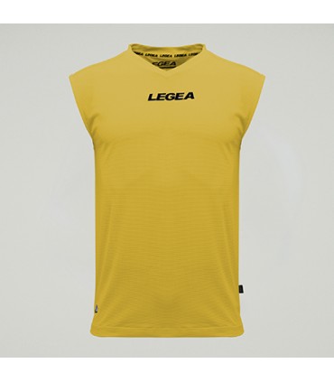 CAMISETA ENTRENO SVEVIA